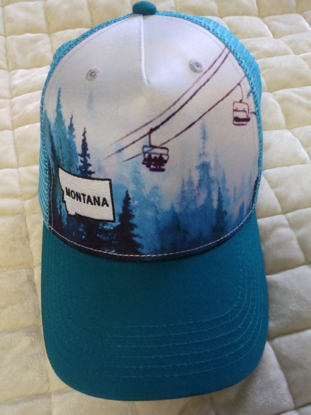 Montana ski ball cap